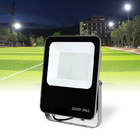 Low Profile Residential Dimmable Color Changing 50 Watt 100 Watt LED Outside Flood Lights