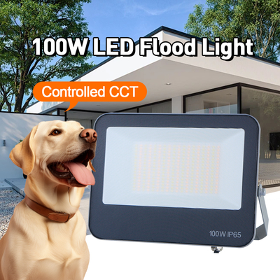 ضوء الفيضانات LED للخارج 3CCT 3000K 4000K 6500K درجة حرارة اللون القابلة للتعديل IP65 مادة رمادية مقاومة للماء مصباح عالي الجودة